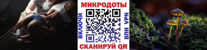 Купить закладки  Дигора  Галлюциногенные грибы мухоморы 